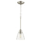 Quorum - 309-65 - One Light Pendant - Dunbar - Satin Nickel