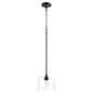 Quorum - 3202-69 - One Light Pendant - Dakota - Textured Black