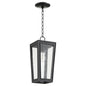 Quorum - 716-6-69 - One Light Pendant - Bravo - Textured Black