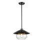 DVI Lighting - DVP42310MF+GR-CL - One Light Pendant - Chevalier - Multiple Finishes And Graphite With Clear Glass