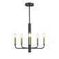 DVI Lighting - DVP44025MF+GR - Five Light Chandelier - Olivia - Multiple Finishes Ad Painted Satin Brass