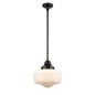DVI Lighting - DVP7521EB - One Light Pendant - Schoolhouse - Ebony With True Opal Glass