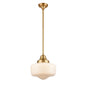 DVI Lighting - DVP7521VBR - One Light Pendant - Schoolhouse - Venetian Brass With True Opal Glass