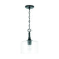 Capital Lighting - 339311MB - One Light Pendant - Carter - Matte Black