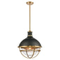 ELK Home - 16575/1 - One Light Pendant - Jenna - Matte Black