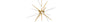 Modern Forms - PD-92950-AB - LED Chandelier - Stormy - Aged Brass