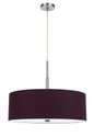Cal Lighting - FX-3744-PUR - Four Light Pendant - Lonoke - Plum