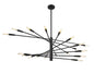 Z-Lite - 737-20MB - 20 Light Chandelier - Ascension - Matte Black