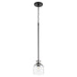 Quorum - 310-6965 - One Light Pendant - Monarch - Textured Black w/ Satin Nickel