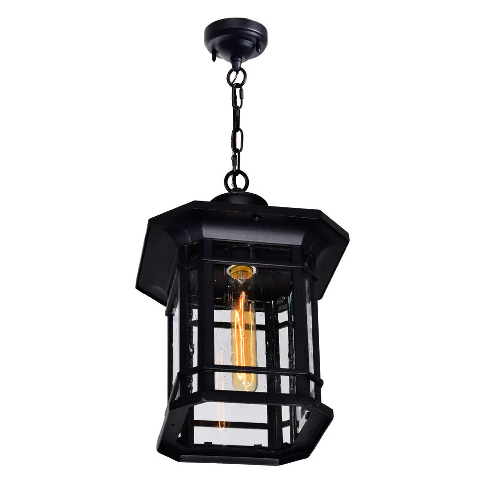 CWI Lighting - 0411P9-1-101 - One Light Outdoor Pendant - Blackburn - Black