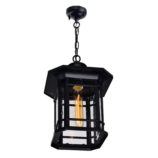 CWI Lighting - 0411P9-1-101 - One Light Outdoor Pendant - Blackburn - Black