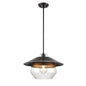 DVI Lighting - DVP42320MF+GR-CL - One Light Pendant - Chevalier - Multiple Finishes And Graphite With Clear Glass