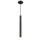 DVI Lighting - DVP45119MF+EB - One Light Pendant - Baffin - Multiple Finishes And Ebony