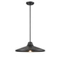 DVI Lighting - DVP45905BK - One Light Outdoor Pendant - Somerset Outdoor - Black