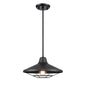 DVI Lighting - DVP45920BK - One Light Outdoor Pendant - Somerset Outdoor - Black