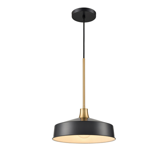 DVI Lighting - DVP46410GR+BR - One Light Pendant - Daisy - Graphite And Brass