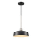 DVI Lighting - DVP46410GR+SN - One Light Pendant - Daisy - Graphite And Satin Nickel