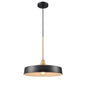 DVI Lighting - DVP46420GR+BR - One Light Pendant - Daisy - Graphite And Brass