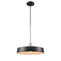 DVI Lighting - DVP46420GR+SN - One Light Pendant - Daisy - Graphite And Satin Nickel