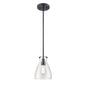 DVI Lighting - DVP47021EB-CL - One Light Pendant - Emma - Ebony With Clear Glass