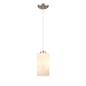 DVI Lighting - DVP47121BN-OP - One Light Pendant - Manitou - Buffed Nickel With Half Opal Glass