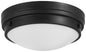 Minka-Lavery - 823-66A - Two Light Flush Mount - Coal