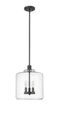 Millennium - 46933-MB - Three Light Pendant - Asheville - Matte Black