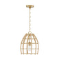 Capital Lighting - 344111MA - One Light Pendant - Wren - Matte Brass