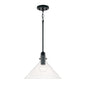 Capital Lighting - 345811MB - One Light Pendant - Greer - Matte Black