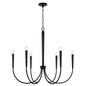 Capital Lighting - 445961MB - Six Light Chandelier - Holden - Matte Black