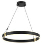 George Kovacs - P5405-689-L - LED Pendant - Recovery X - Coal And Satin Brass