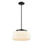 DVI Lighting - DVP43920EB-RIO - LED Pendant - Lunenberg Cct - Ebony With Ribbed Opal Glass