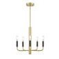 DVI Lighting - DVP44025MF+PSB - Five Light Chandelier - Olivia - Multiple Finishes And Painted Satin Brass