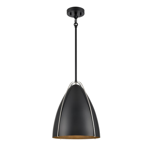 DVI Lighting - DVP47310EB+SN - One Light Pendant - Saguenay - Ebony And Satin Nickel