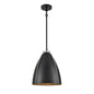 DVI Lighting - DVP47310EB+SN - One Light Pendant - Saguenay - Ebony And Satin Nickel