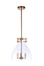 Craftmade - 55893-SB - Three Light Pendant - Chardonnay - Satin Brass