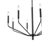 Millennium - 8168-MB - Eight Light Chandelier - Laurell - Matte Black