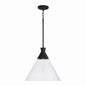 Capital Lighting - 350311XK - One Light Pendant - Paloma - Textured Black