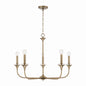 Capital Lighting - 448951AD - Five Light Chandelier - Presley - Aged Brass