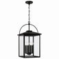 Capital Lighting - 948042BK - Four Light Outdoor Hanging Lantern - Bryson - Black