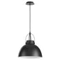 Quorum - 823-59 - One Light Pendant - Picture Lights - Matte Black