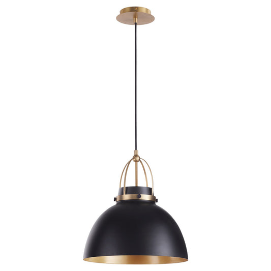 Quorum - 823-5980 - One Light Pendant - Picture Lights - Matte Black w/ Aged Brass