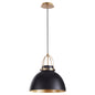 Quorum - 823-5980 - One Light Pendant - Picture Lights - Matte Black w/ Aged Brass