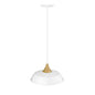 Millennium - 4511-MW - One Light Pendant - Arlo - Matte White