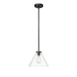 Millennium - 8141-MB - One Light Pendant - Aliza - Matte Black