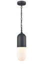 DVI Lighting - DVP13775BK-OP - One Light Pendant - Capsule Outdoor - Black With Half Opal Glass