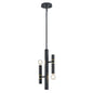 DVI Lighting - DVP42821EB+MF - Two Light Pendant - Klondike - Multiple Finishes And Ebony