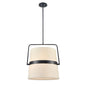 DVI Lighting - DVP48420EB-SW - Four Light Pendant - Bon Echo - Ebony With Satin White Shade