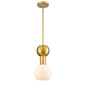 DVI Lighting - DVP49421BR-TO - One Light Pendant - Lillooet - Brass With True Opal Glass