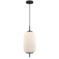 DVI Lighting - DVP40005GR-RIO - One Light Pendant - Mount Pearl - Graphite With Ribbed Opal Glass